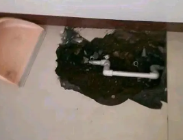 衡水市卫生间测漏水多少钱